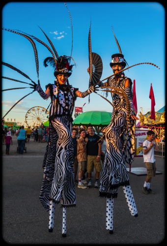 Larimer County Fair & Rodeo 2015
at The Ranch Loveland, CO